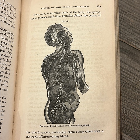 Antiquarian Medical Books 1800’s The Peoples Medical Advisor physiology hygiene - Picture 13 of 16